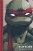 TEENAGE MUTANT NINJA TURTLES THE IDW COLLECTION VOL 01 HC [9781631401114]
